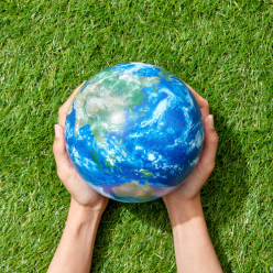 Hands holding a globe on grass